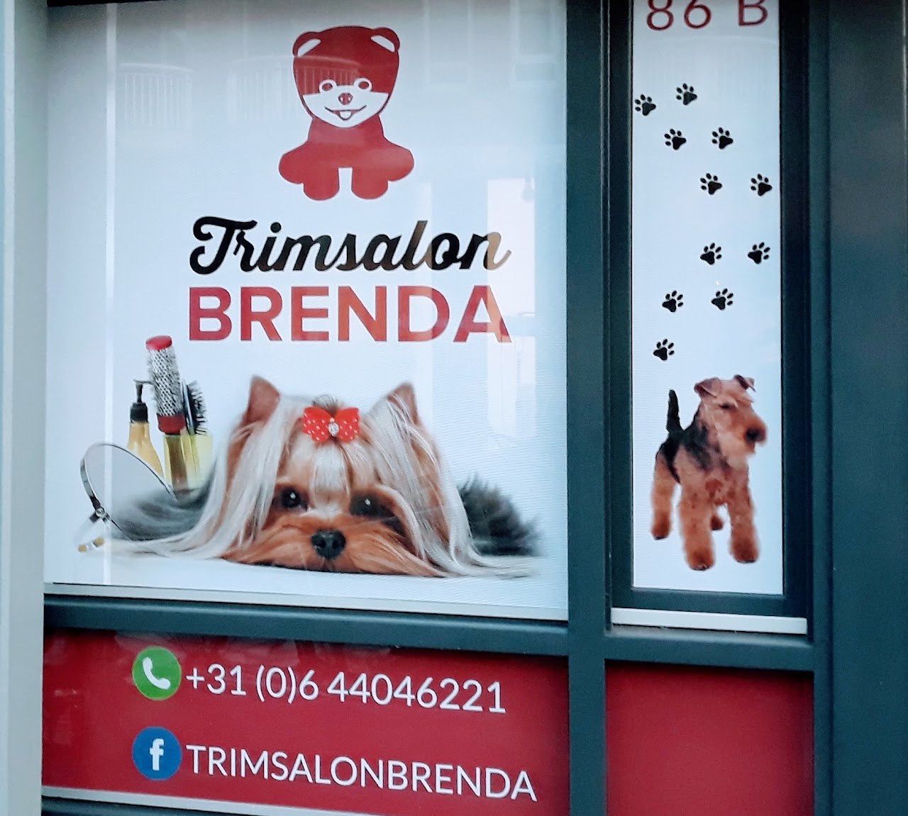 Het raam van Trimsalon Brenda aan de Geldropseweg 86B, met de rode naam, het telefoonnummer en pootjes op de ruit